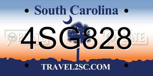 4SG828 South Carolina License Plate