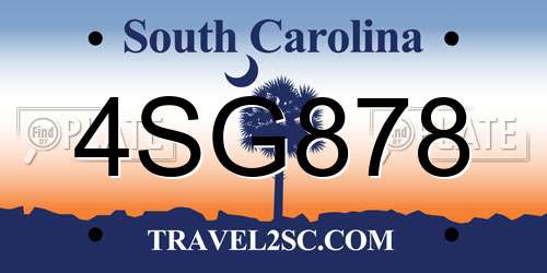 4SG878 South Carolina License Plate
