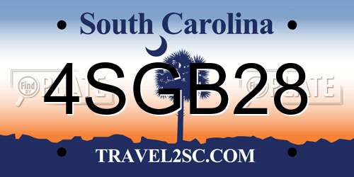 4SGB28 South Carolina License Plate