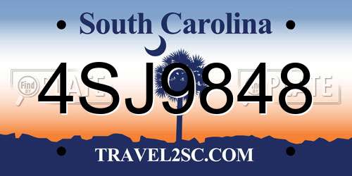 4SJ9848 South Carolina License Plate