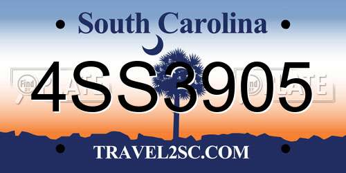 4SS3905 South Carolina License Plate