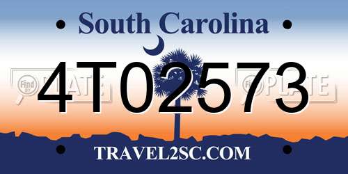 4T02573 South Carolina License Plate