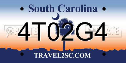 4T02G4 South Carolina License Plate
