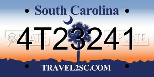 4T23241 South Carolina License Plate