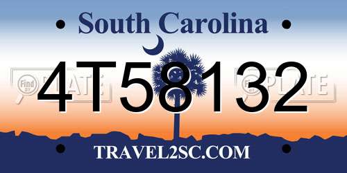 4T58132 South Carolina License Plate