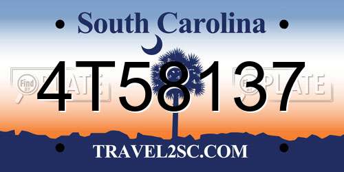 4T58137 South Carolina License Plate