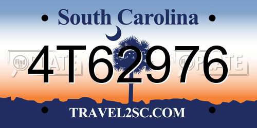 4T62976 South Carolina License Plate