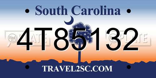 4T85132 South Carolina License Plate