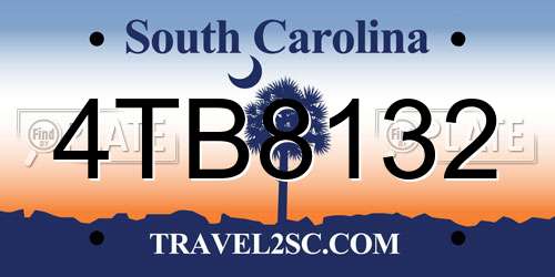 4TB8132 South Carolina License Plate