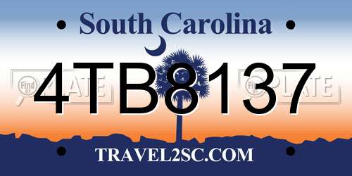 4TB8137 South Carolina License Plate