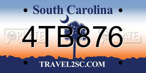 4TB876 South Carolina License Plate