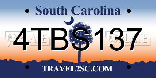4TBS137 South Carolina License Plate