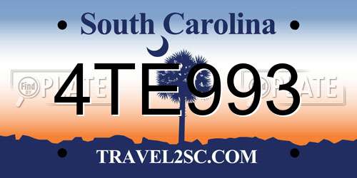 4TE993 South Carolina License Plate