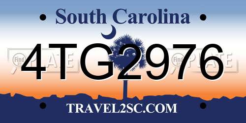 4TG2976 South Carolina License Plate