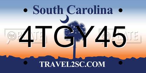 4TGY45 South Carolina License Plate