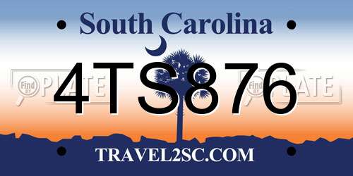 4TS876 South Carolina License Plate