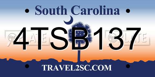 4TSB137 South Carolina License Plate