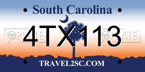 4TX113 South Carolina License Plate