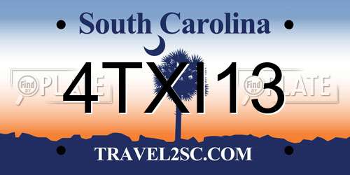 4TXI13 South Carolina License Plate