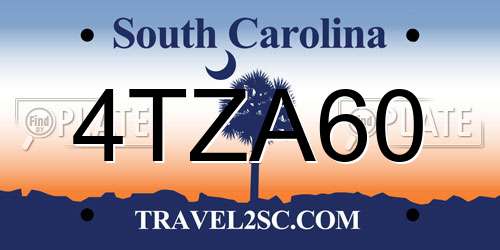 4TZA60 South Carolina License Plate