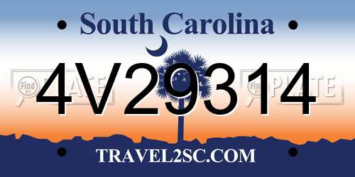4V29314 South Carolina License Plate