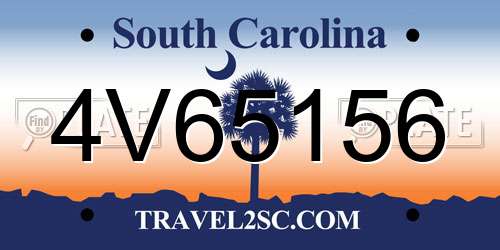 4V65156 South Carolina License Plate
