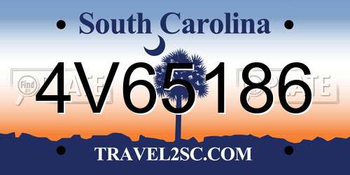 4V65186 South Carolina License Plate
