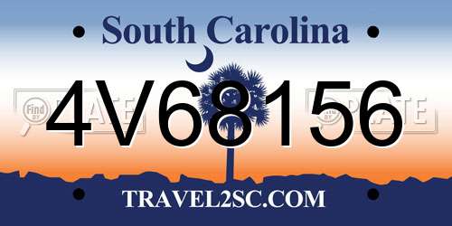 4V68156 South Carolina License Plate