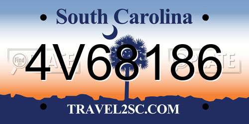 4V68186 South Carolina License Plate