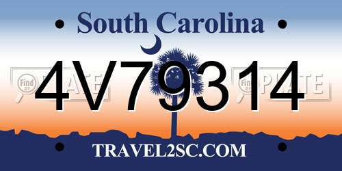 4V79314 South Carolina License Plate