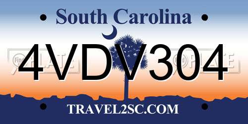 4VDV304 South Carolina License Plate