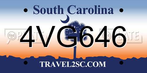 4VG646 South Carolina License Plate