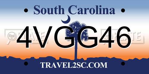 4VGG46 South Carolina License Plate