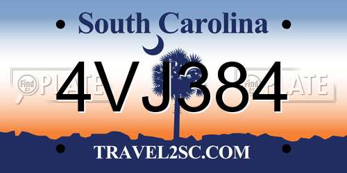 4VJ384 South Carolina License Plate