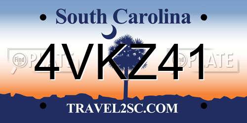 4VKZ41 South Carolina License Plate