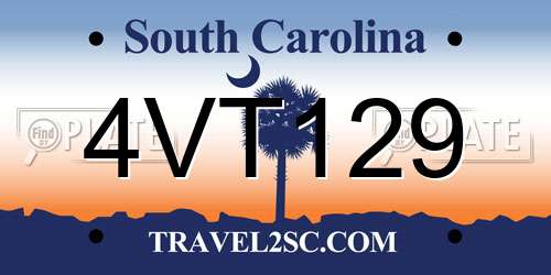 4VT129 South Carolina License Plate