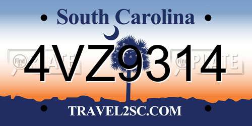 4VZ9314 South Carolina License Plate