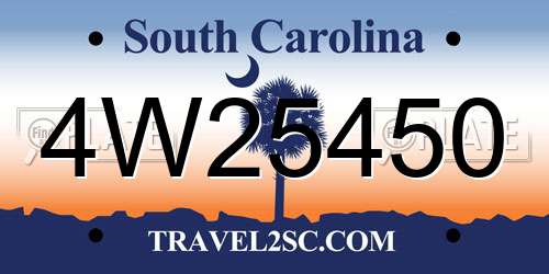 4W25450 South Carolina License Plate