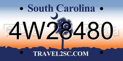 4W28480 South Carolina License Plate