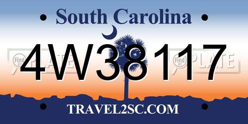 4W38117 South Carolina License Plate