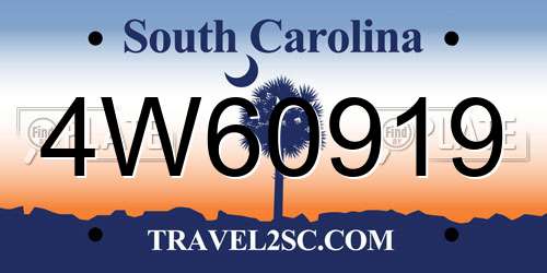 4W60919 South Carolina License Plate