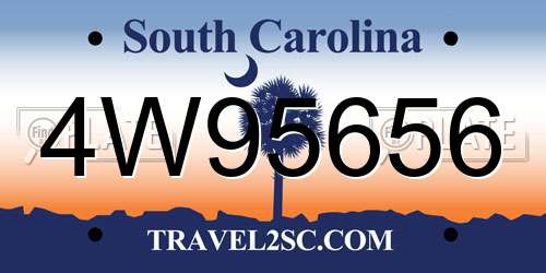 4W95656 South Carolina License Plate