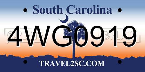 4WG0919 South Carolina License Plate