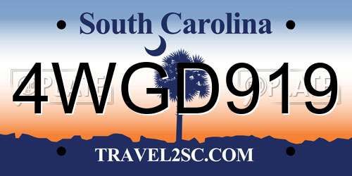 4WGD919 South Carolina License Plate
