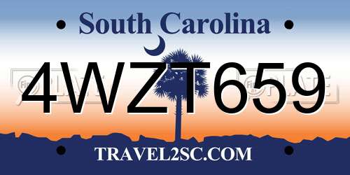 4WZT659 South Carolina License Plate