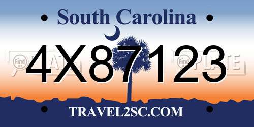 4X87123 South Carolina License Plate