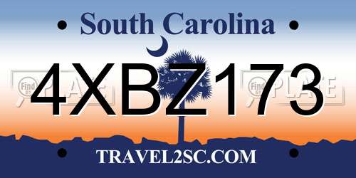 4XBZ173 South Carolina License Plate
