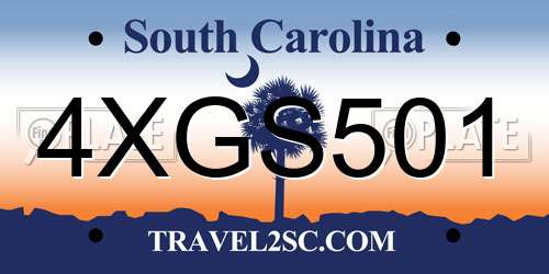 4XGS501 South Carolina License Plate