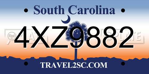 4XZ9882 South Carolina License Plate