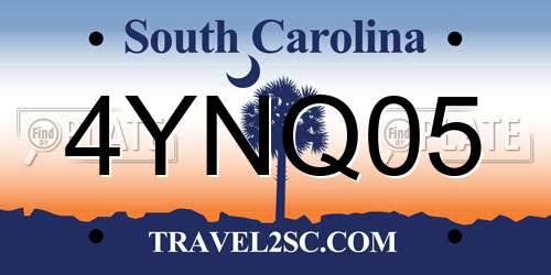 4YNQ05 South Carolina License Plate